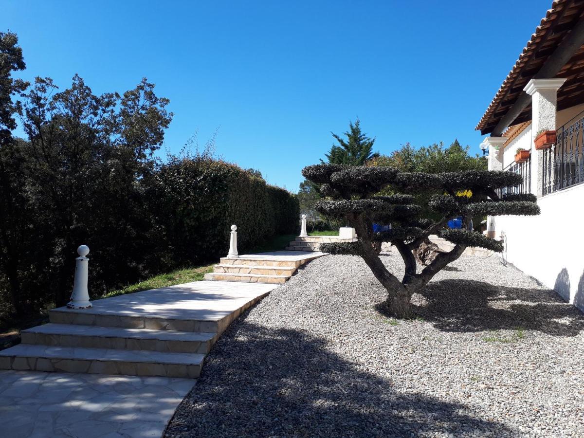 Bed and Breakfast L'Oustaou De L'Estama Rocbaron Zewnętrze zdjęcie